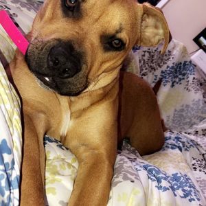 Meet your Posher, Christopher